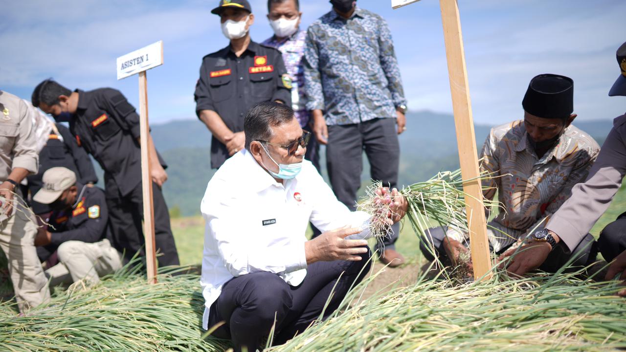 Bupati Solok H. Epyardi Asda menghadiri panen raya bawang merah yang di Jorong Linjuang Koto Tunggi, Nagari Koto Gaek Guguak, Kecamatan Gunung Talang, Kabupaten Solok, Kamis (24/2/22).